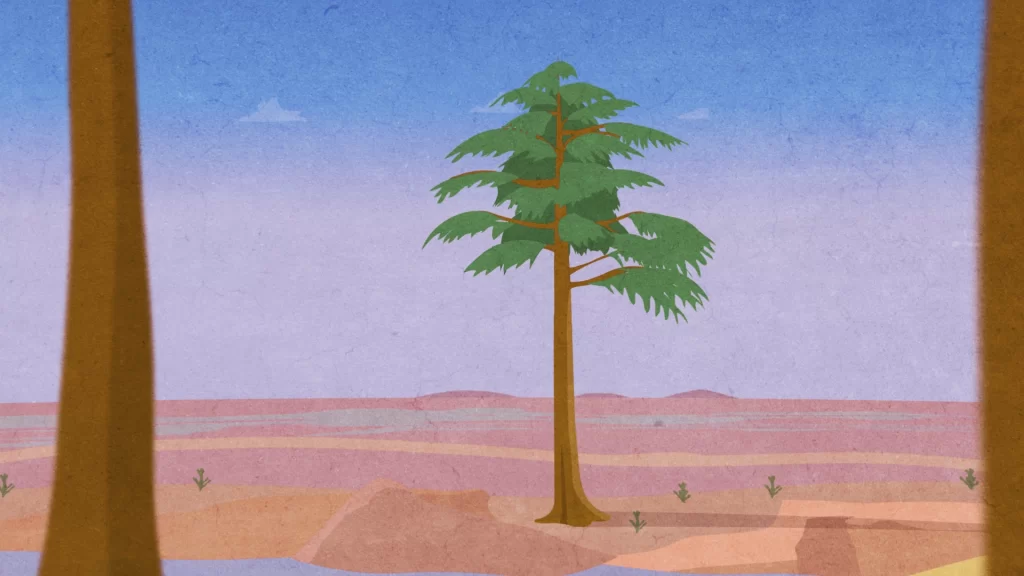 Devonian Archaeopteris-tree in Cork