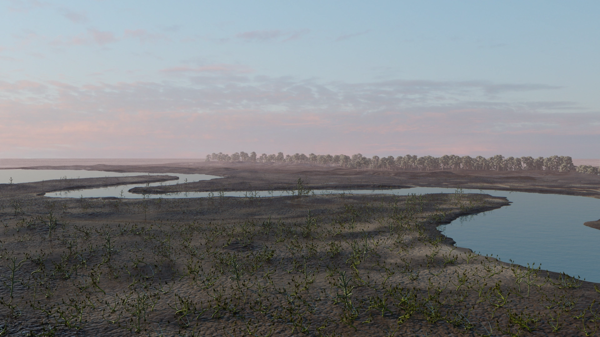 Reconstruction of Cork during the Late Devonian