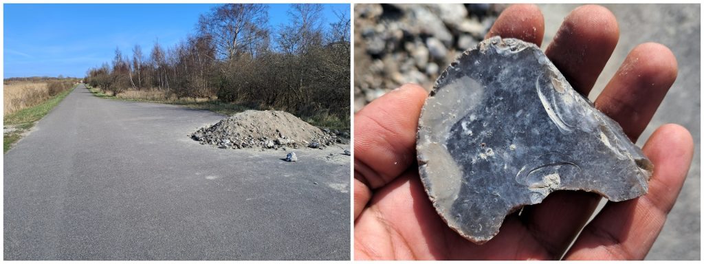Local chert rock in Copenhagen