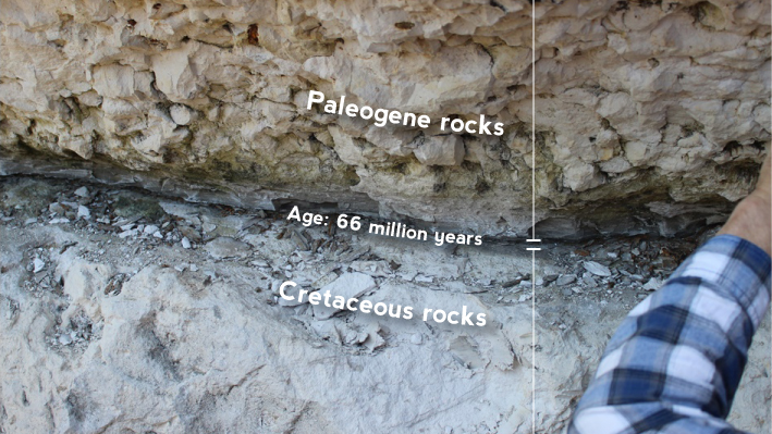 The boundary between the Cretaceous and the Palaeogene periods