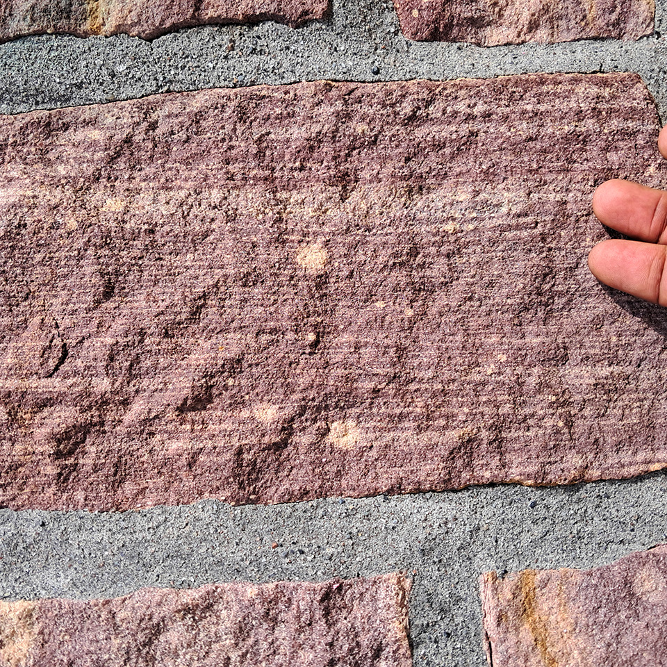Closeup of Nexø sandstone from the Cambrian Period