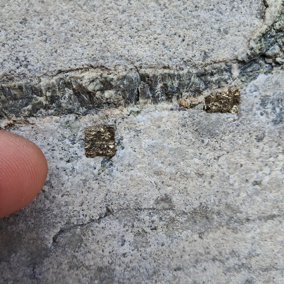 Pyrite crystals in limestone/marble
