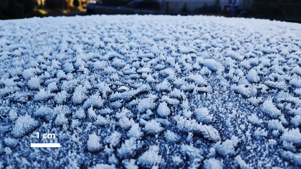 2025 frost in Cork