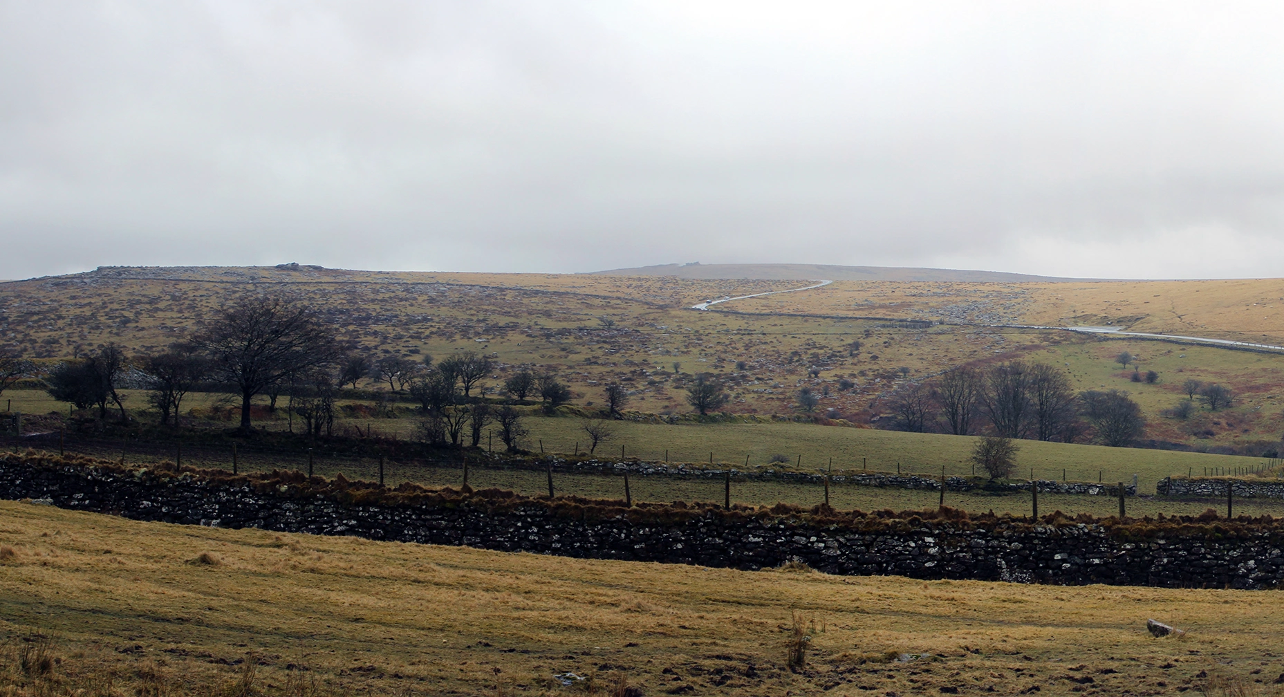 Dartmoor tors