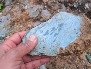 Glenflesk Chloritic Sandstone in Kerry