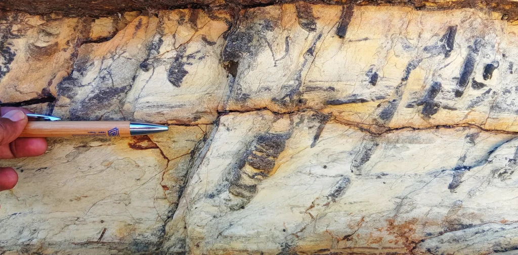 Graball Bay in Cork - Devonian Old Red Sandstone Diplocraterion trace fossils