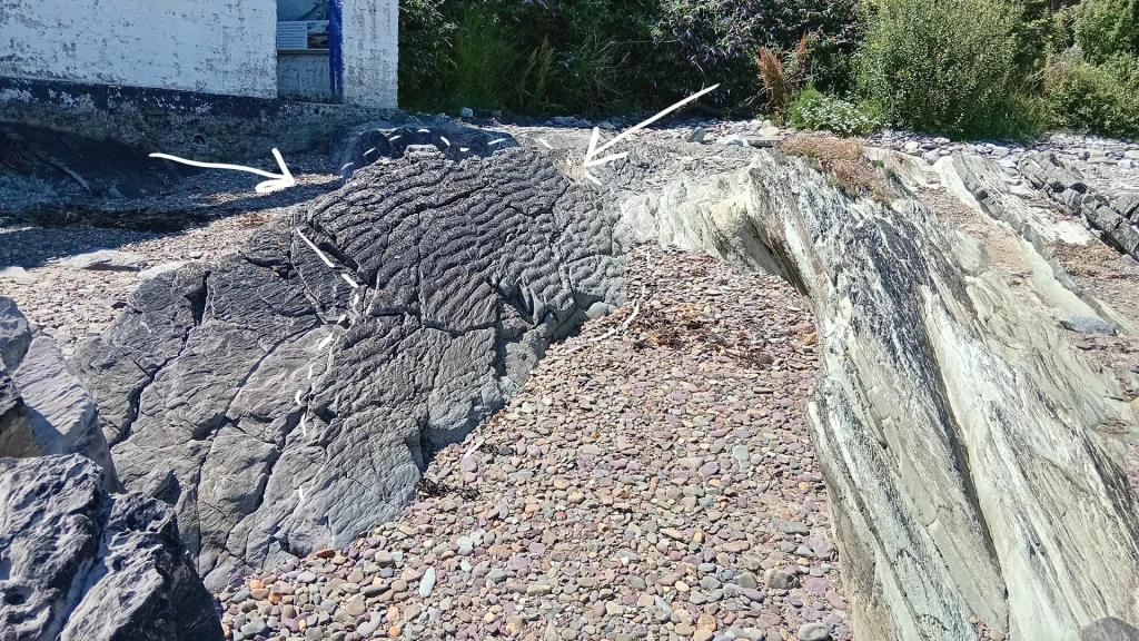 Graball Bay in Cork - Devonian Old Red Sandstone ripples