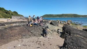 The Fold-art group at Grabll Bay