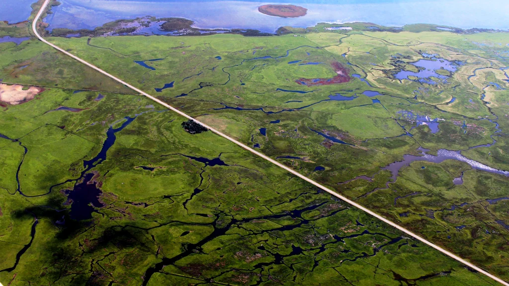 Nyord bird sanctuary on Møn