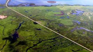 Nyord bird sanctuary on Møn