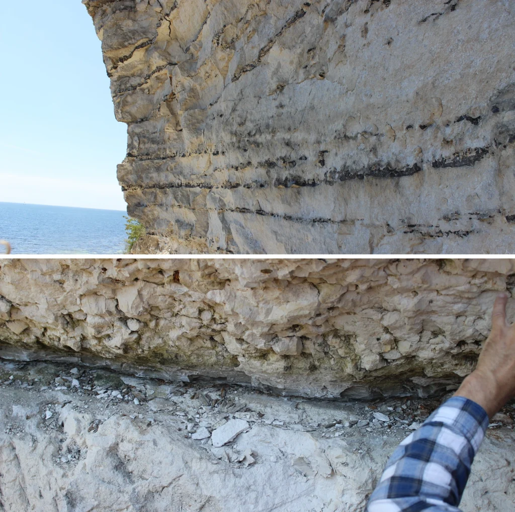 Stevns Klint with the Cretaceous-Palaeogene-boundary