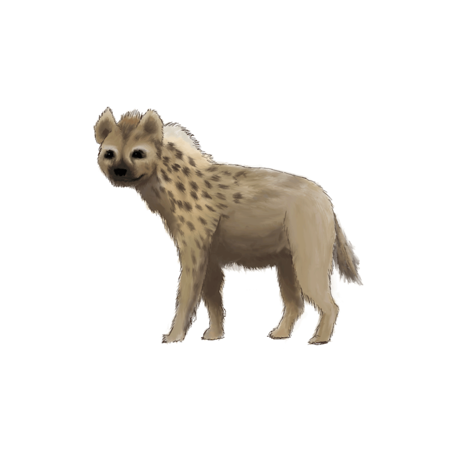 Hyena from Hardcore Cork