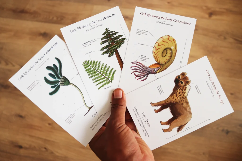 Geological heritage postcards