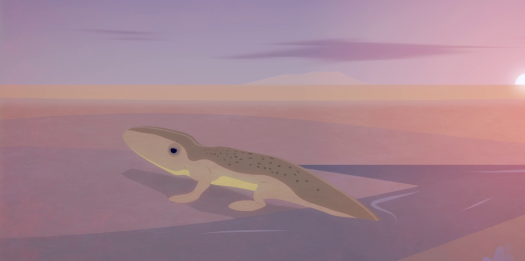 Tetrapod from Live Eco-Museum - Thomas Heising