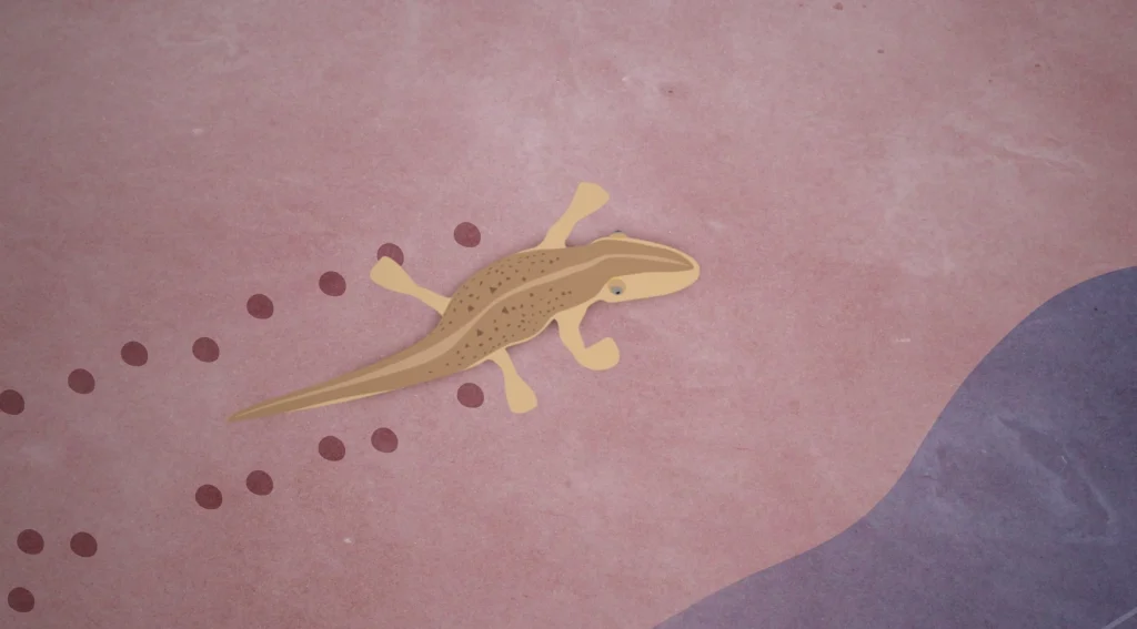 Tetrapod walking from Live Eco-Museum