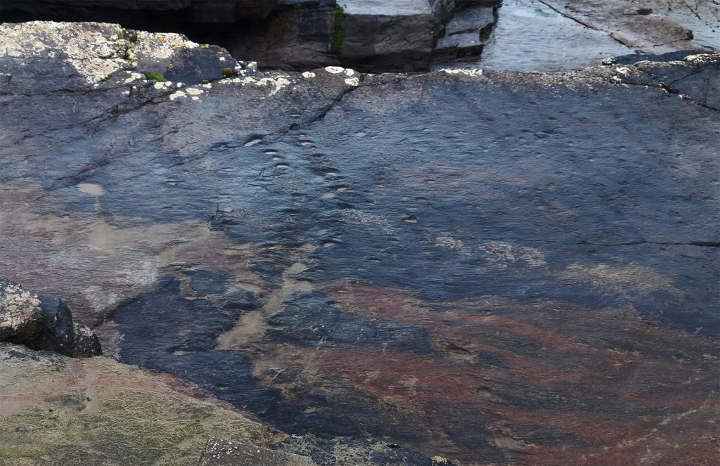 Valentia Island - Tetrapod footprints