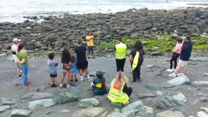 Valentia Island geology tour - Thomas Heising