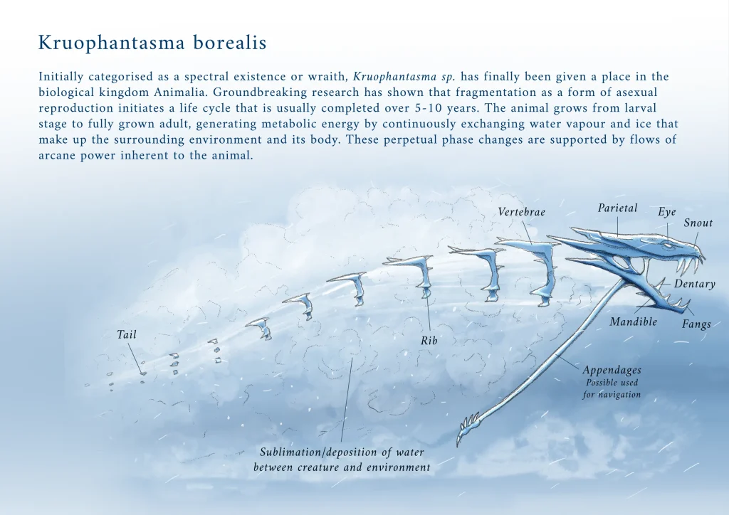Ice wraith from Skyrim