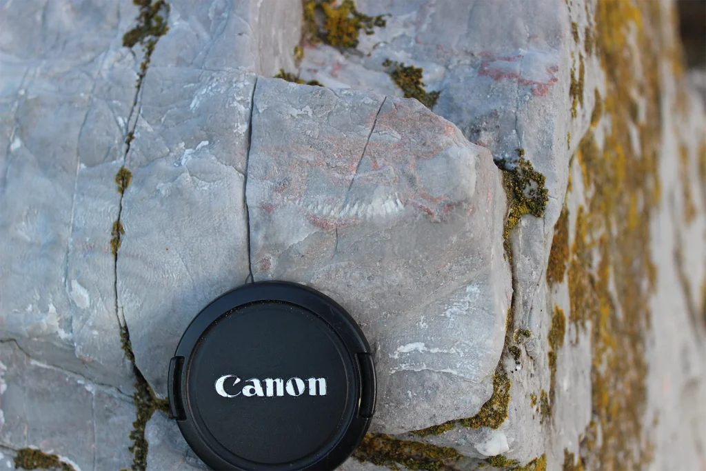 Devonian limestone at Plymouth Sound