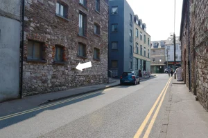 Devonian plant fossils at Rutland Street in Cork