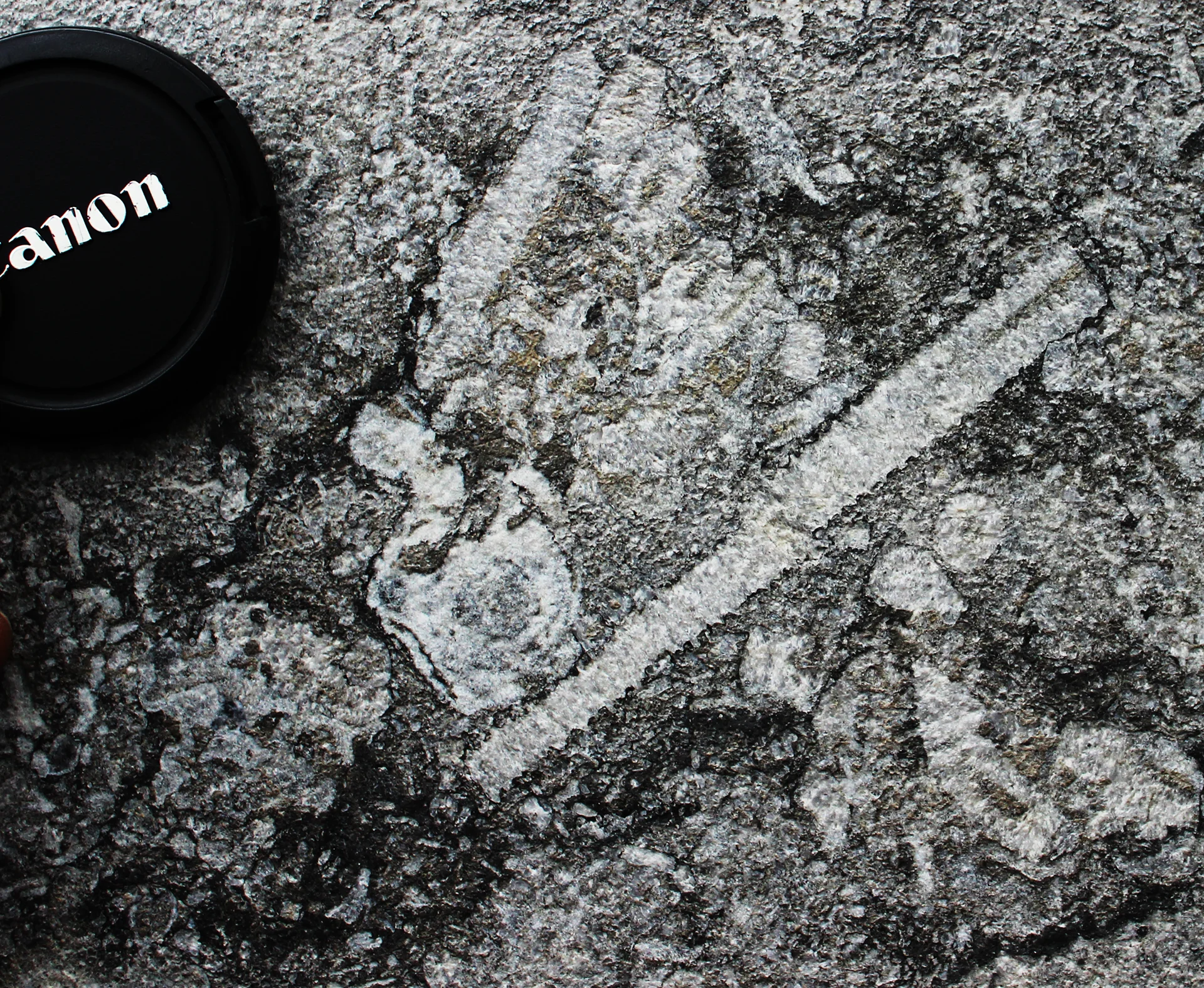 Crinoid fossils on Nationalbanken