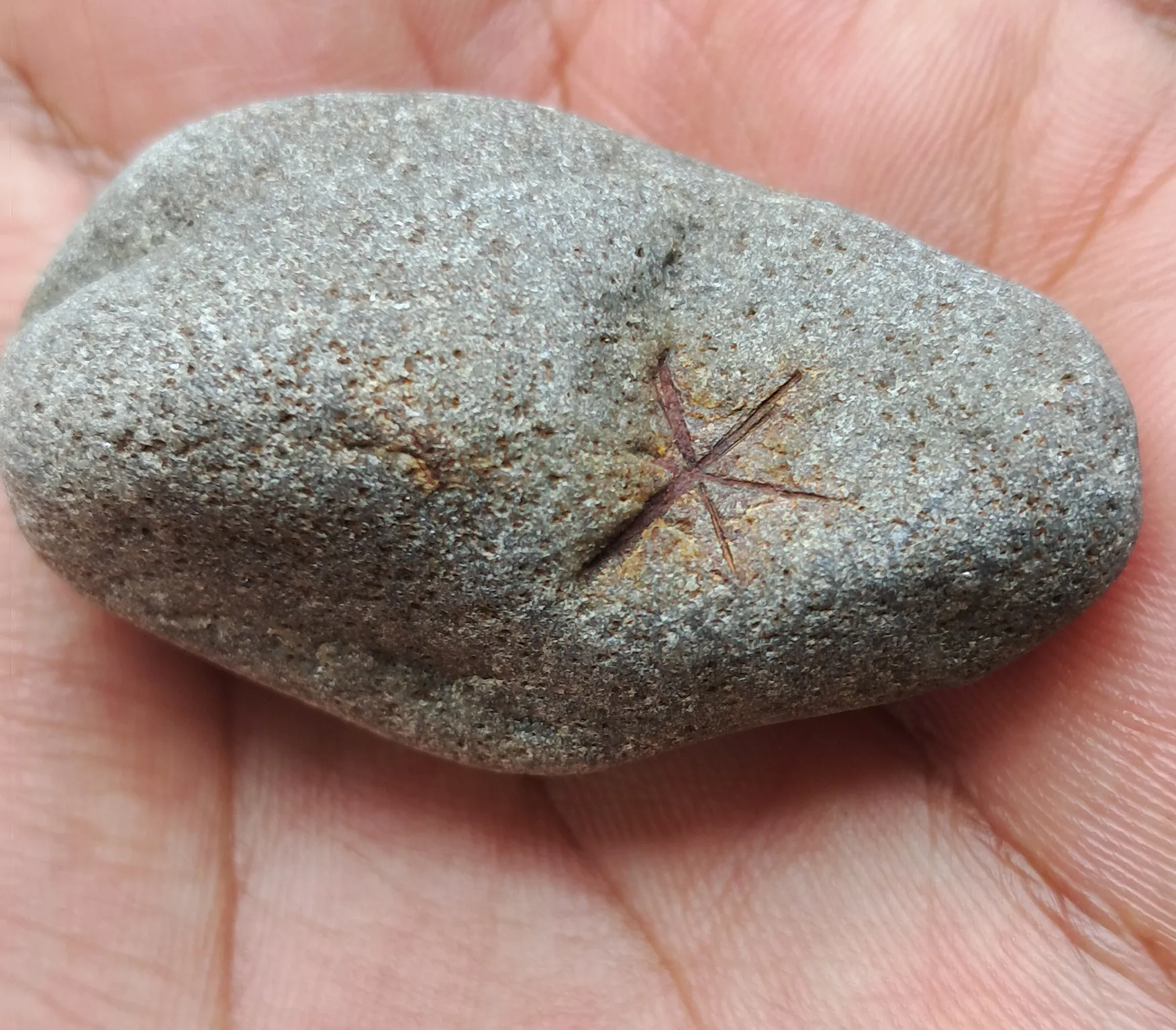 Arsenopyrite twinning