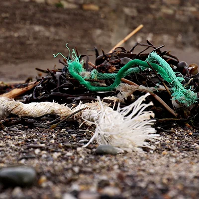 Beach Litter