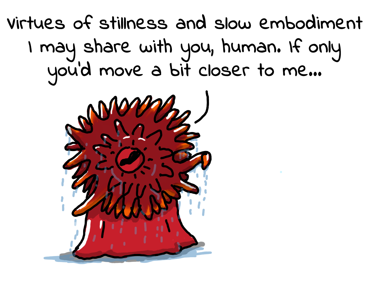 Beadlet anemones can teach important life lessons for a cost