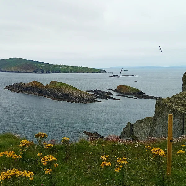Cliff walk on Sherkin