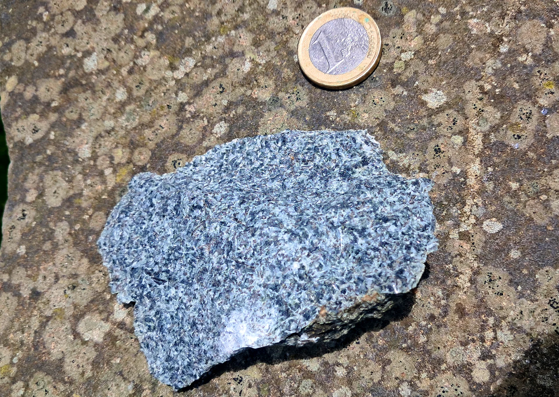 Gabbro from the Bandon Sill Intrusion