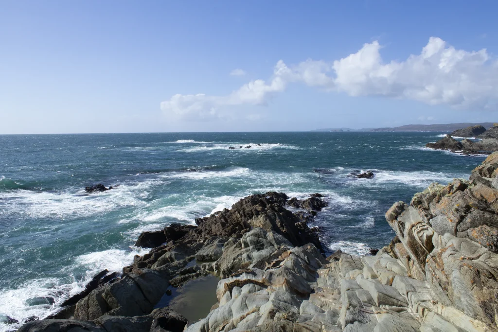 A Scenic day for fossil hunting in west cork