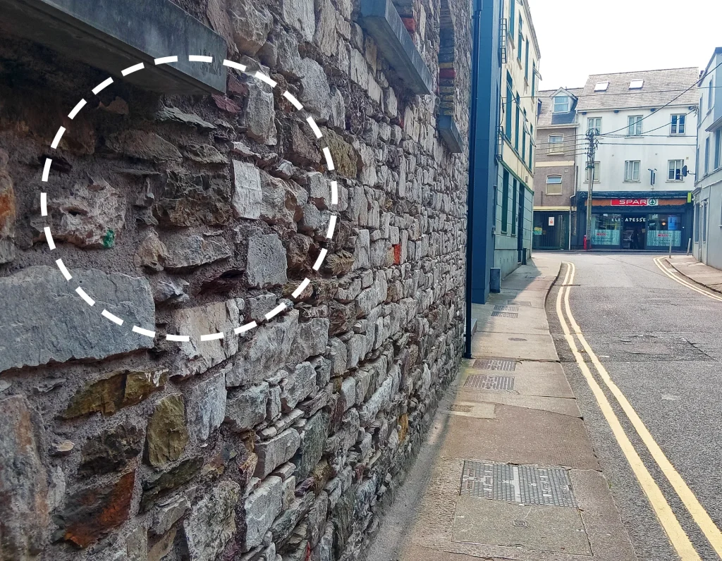 Old Red Sandstone fossils in the Cork city Rutland st
